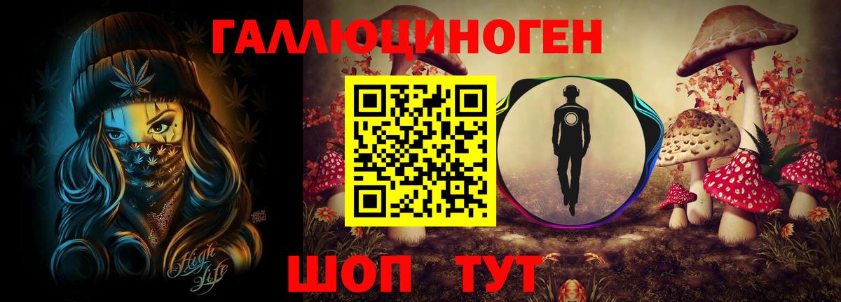 Галлюциногенные грибы Psilocybine cubensis  Вход с VPN  Ступино 